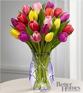 Spring Tulip Bouquet (20 Tulips)