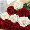 Dozen Red & White Roses