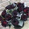 18 Black Magic Roses