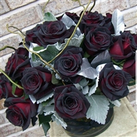 18 Black Magic Roses