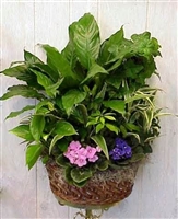 Violets Basket Garden