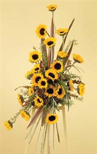 Bursting Sunflowers