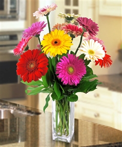 Gerbra Daisy Bouquet