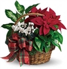 Home for the Holidays Basket