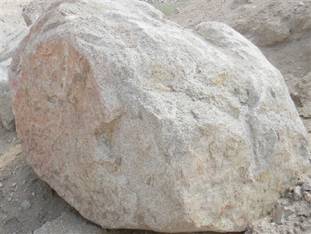 Champagn Pink Granite Specimen