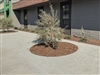 Blue Decomposed Granite 3/8" Minus - Bulk Mulch Near Me