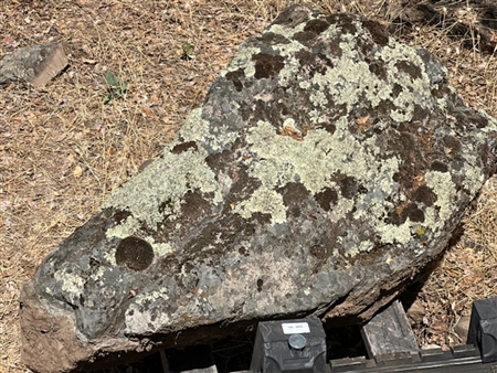 Sonoma Fieldstone Landscape Boulders Specimen