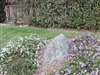 Mountain Gray Landscape Stone 12" - 18"