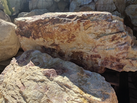 Palm Springs Gold Landscape Boulders 36" - 48"