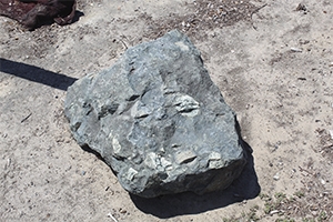 Catalina Cove Large Rock Boulders near me 24" - 30"