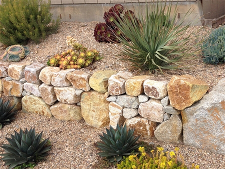 Golden Green Granite Boulders Rock 24" - 30"