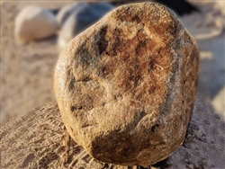 Foothill River Landscaping Garden Boulders Rock 30" - 36"