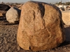 Foothill River Garden Large Boulders Rock 36" - 48"