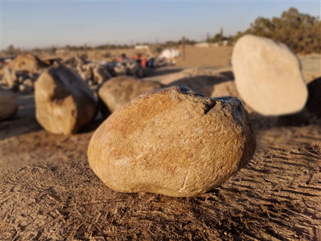 Foothill River Decorative Boulders Rock Specimens