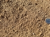 Shasta Gold Decomposed Granite 3/8" Minus - Sand For Pavers