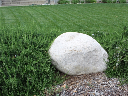 White Granite Landscape Rock Boulder River Washed 24" - 30"