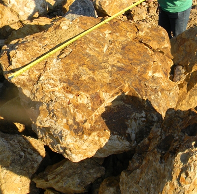 Navajo Gold Boulders 12" - 18"