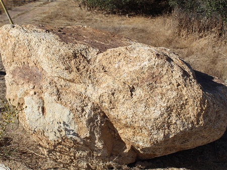 Golden Queen Granite Boulders 36"- 48" Per Each