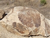 Golden Queen Granite Boulders 36"- 48" Per Ton