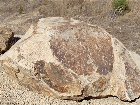 Golden Queen Granite Boulders 36"- 48" Per Ton