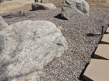 Salt n Pepper Granite Boulders 30" - 36"