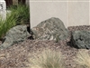 Irish Knights Green Boulders 30" - 36"