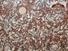 Red Pearl D.G. and Oyster Shell Dry Climate Blend - bocce court material