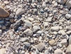 Santa Maria Float Rock River 3/4" - Crushed Granite