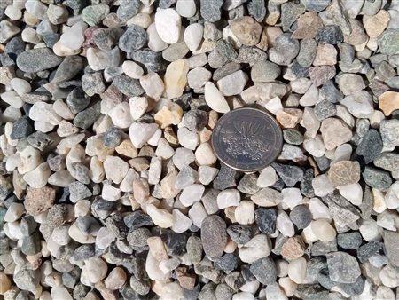 Black & White Quartz Sierra River Rock 3/8" Pebble pathway