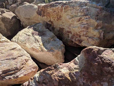 Palm Springs Gold Boulders 18" to 24"