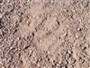 Palomino Coral Decomposed Granite - Bulk Sand