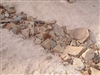 Tan Decomposed Granite 3/8" Minus - DG Near Me