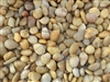 Polished Golden Yellow Pebbles 1" - 2"