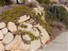 Santa Barbara Sandstone Boulder 30" - 36" - Big Landscaping Rock