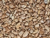 Wood Bean Pebble Rock 1/5" Sample