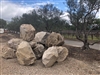 Napa Canyon Vineyard Sunset Boulders 36" - 48"