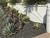 Black Cinders Lava Rock 3/4"  - Rock Landscaping