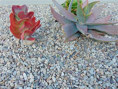 3/4" Imperial Del Rio River Cobble and Pebbles