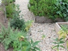 Del Rio Pea Gravel 3/8" Screened Per Yard - Types of rock