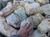 Palm Springs Gold Landscape Boulders Specimen