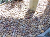 1" - 2" Beach Pebbles Baja Sunburst