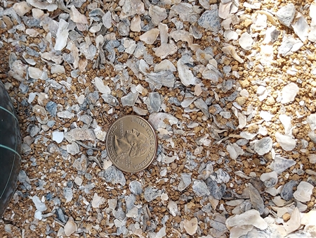 Oyster shell for bocce court - Crushed Stone Near Me