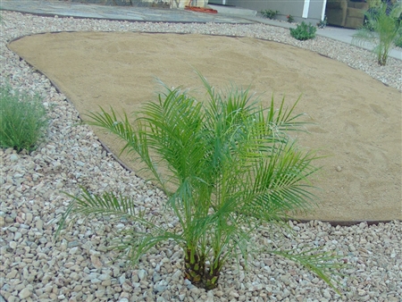 Desert Gold Decomposed Granite 3/8" Minus