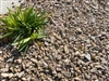 Palomino Coral Gravel 1/2" Screened Per Yard