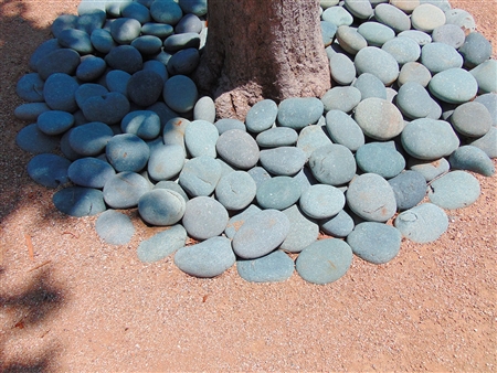 Black Mexican Beach Pebbles La Paz 5" to 8"