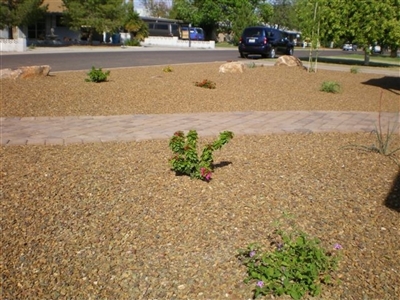 Cinnamon Brown Gravel 1/2" Per Ton