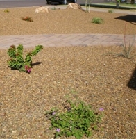 Cinnamon Brown Gravel 3/4" Per Ton