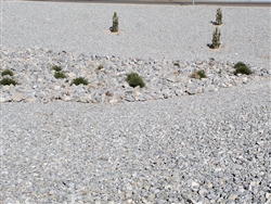 Navajo Gold Gravel 3/8" Screened - Landscaping Rocks