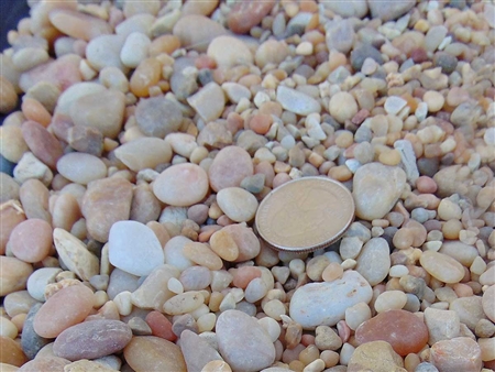Coral Sea Pebbles 1/4" - 1/2"