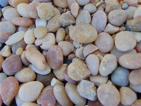 Coral Sea Pebbles 1/2"